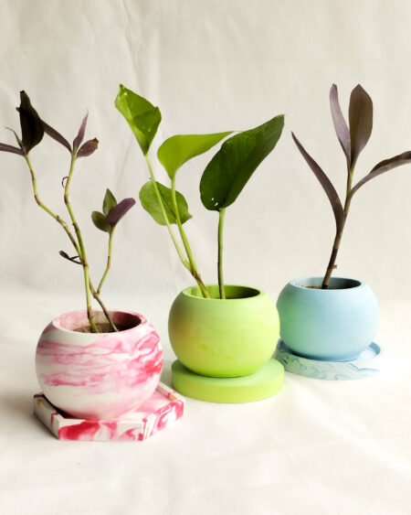 3 Planter Set with Coasters